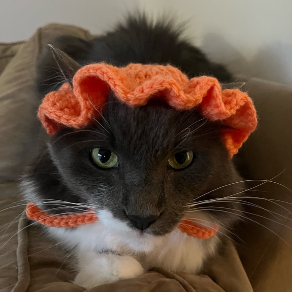 HANDMADE cat bonet bucket hat for cats cat accessories - Picture 4 of 12